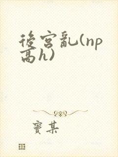 后宫乱(np 高h)