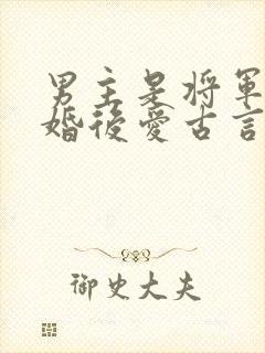 男主是将军的先婚后爱古言