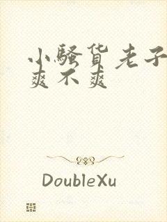 小骚货老子操你爽不爽