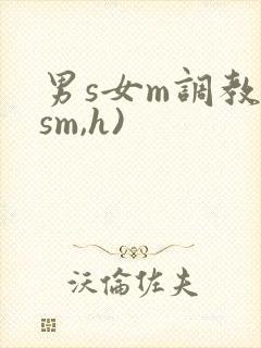 男s女m调教(sm,h)