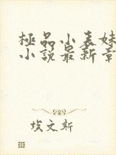 极品小表妹苏晴小说最新章节列表