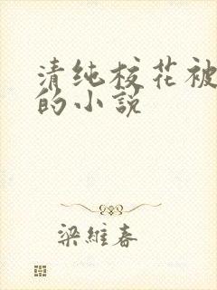 清纯校花被调教的小说