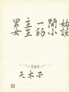 男主一开始不爱女主的小说