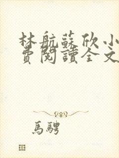 林航苏欣小说免费阅读全文最新章节