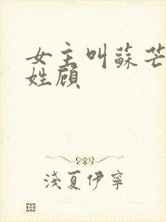 女主叫苏芒男主姓顾封面
