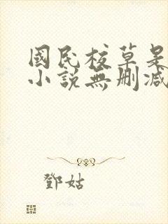 国民校草是女生小说无删减封面