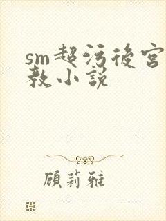 sm超污后宫调教小说封面