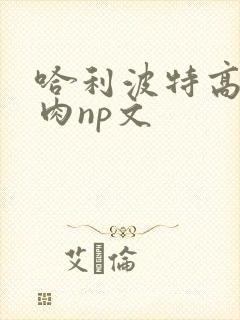 哈利波特高h纯肉np文