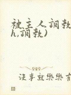 被主人调教(高h,调教)