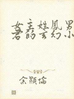 女主姓凤男主姓君的玄幻小说封面