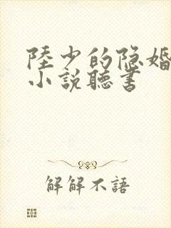 陆少的隐婚罪妻小说听书