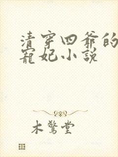 清穿四爷的心尖宠妃小说