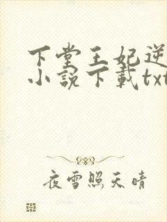 下堂王妃逆袭记小说下载txt