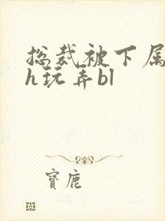 总裁被下属调教h玩弄bl