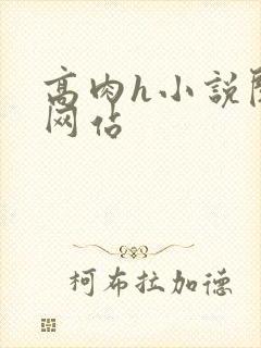 高肉h小说阅读网站