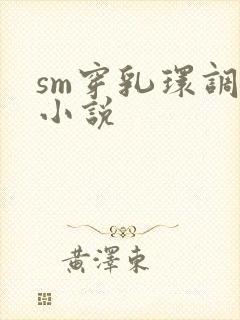 sm穿乳环调教小说