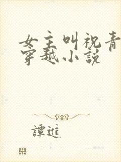 女主叫祝青苑的穿越小说封面