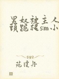 男奴被主人拽奶头跪爬sm小说