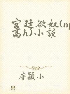 宫廷欲奴(np高h)小说