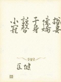 小说千亿总裁独宠替身娇妻完整版未删减小说封面