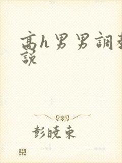 高h男男调教小说