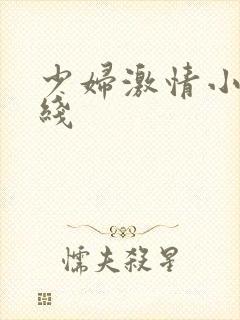 少妇激情小说在线