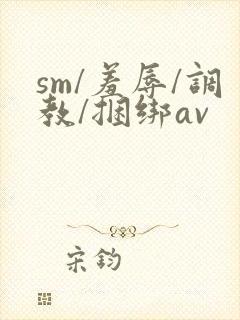 sm/羞辱/调教/捆绑av