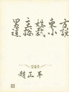 男主姓东方的霸道总裁小说