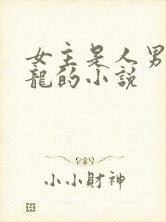 女主是人男主是龙的小说