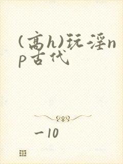 (高h)玩淫np古代