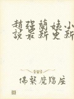 赵强兰姨小雯小说最新更新章节更新时间封面