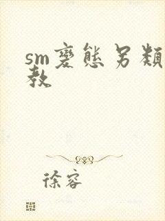 sm变态另类调教