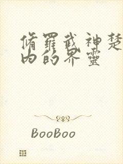 修罗武神楚枫体内的界灵封面