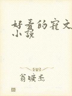 好看的宠文甜文小说封面