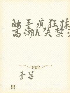 触手疯狂揉肉蒂高潮h失禁漫