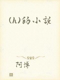 (h)的小说