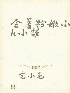 含着粉嫩小奶头h小说封面