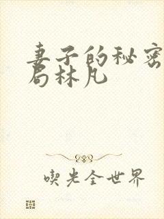 妻子的秘密大结局林凡