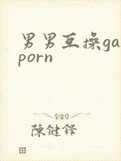 男男互操gayporn
