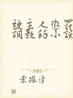 被主人惩罚玩弄调教的小说