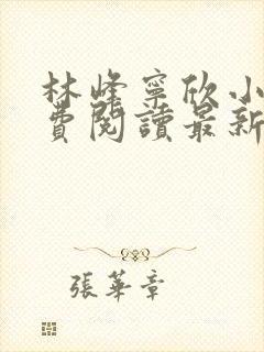 林峰宁欣小说免费阅读最新章节封面