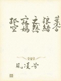 孤寂之狼叶凡司空嫣然结合封面