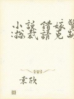 小说 错嫁惊婚:总裁请克制