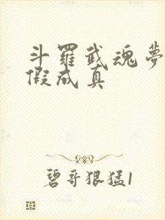 斗罗武魂梦蝶炼假成真