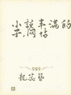 小说丰满的大奶子,网站