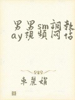 男男sm调教gay视频网站