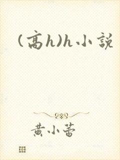 (高h)h小说