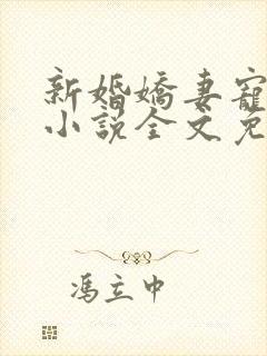 新婚娇妻宠上瘾小说全文免费阅读