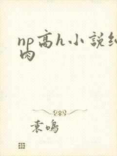 np高h小说纯肉封面