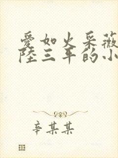 爱如火采薇阿铭陆三平的小说封面